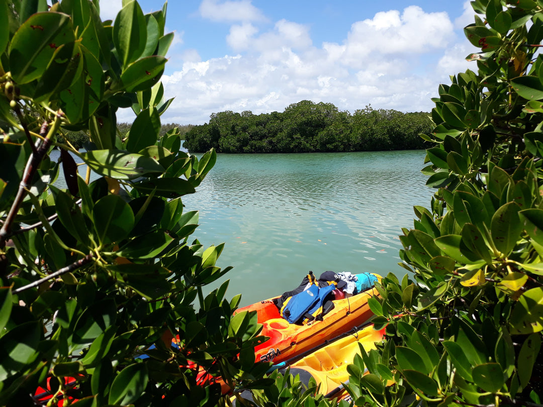 Yemaya Adventures - Sea Kayaking Half-Day Trip For 4 Persons