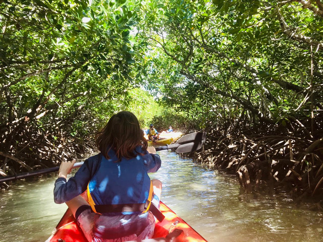 Yemaya Adventures - Sea Kayaking Half-Day Trip For 2 Persons
