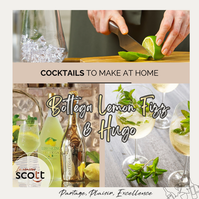 Cocktails To Make At Home: Bottega Lemon Fizz and Hugo