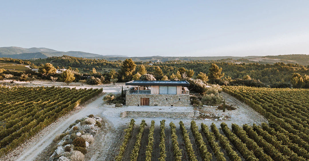Wines from Gerard Bertrand