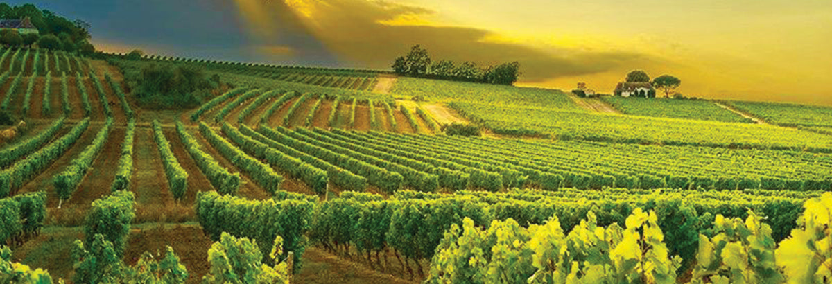Languedoc-Roussillon