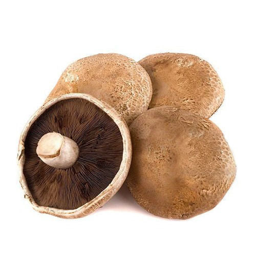 Mushroom Portabelini 250g