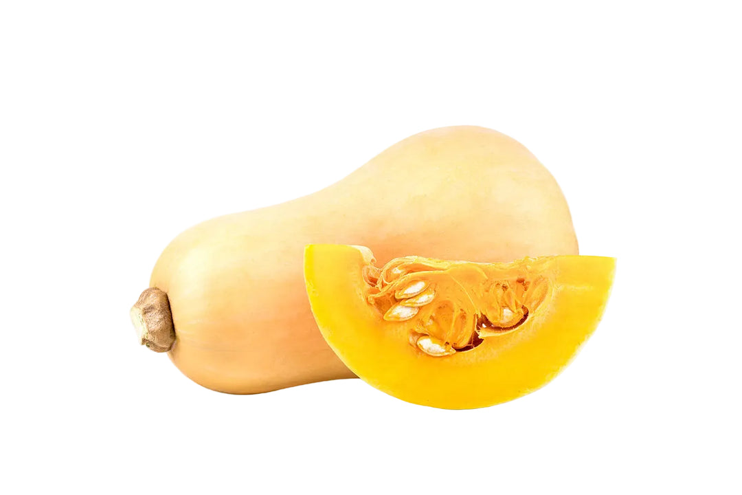 Butternut