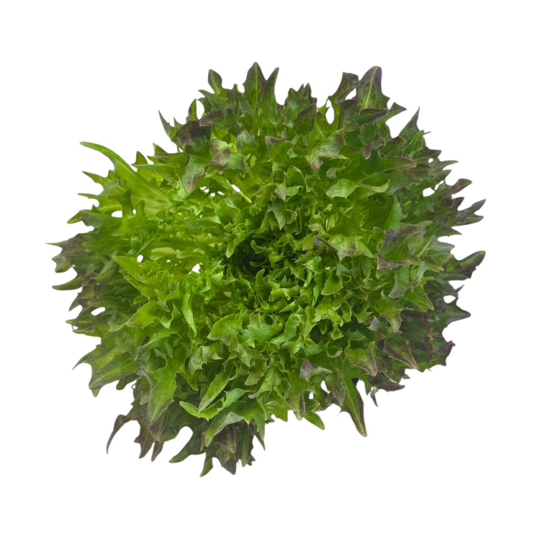 Salade Du Jour