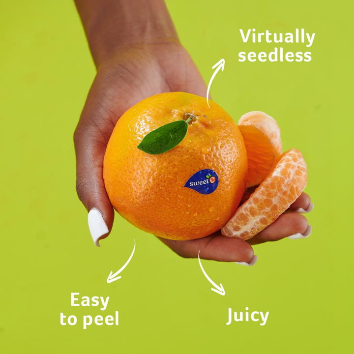Mandarine Sweet C Fillet
