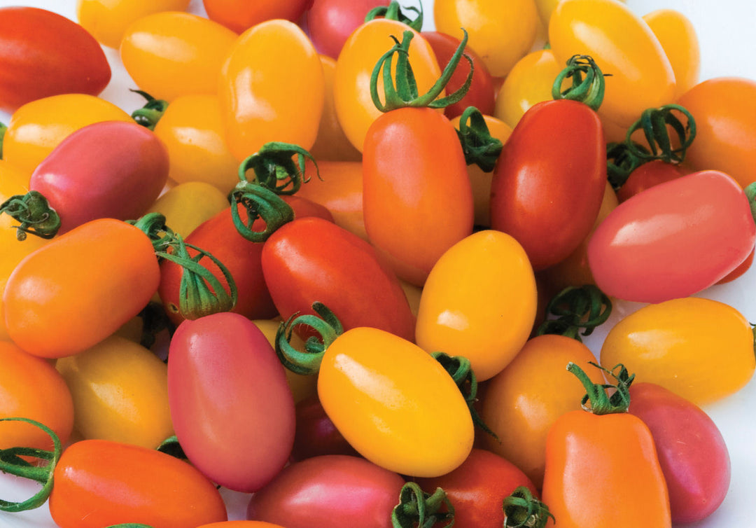 Veg Me Rainbow Tomato 250g