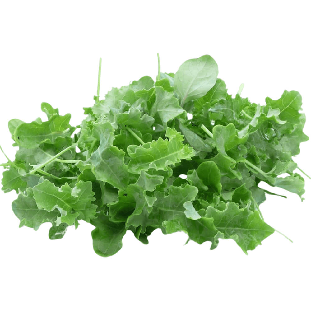 Baby Green Kale 125g